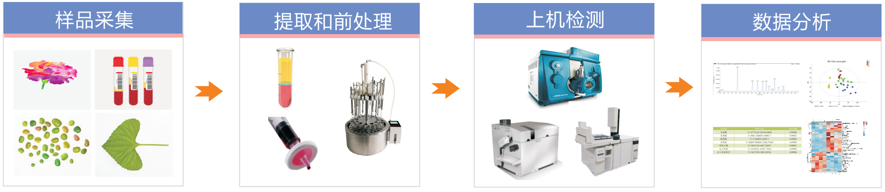 黃酮類定量檢測